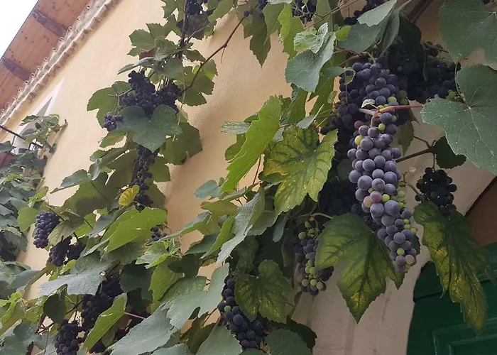 Scaccia pensieri